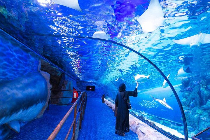 VIP Experience Dubai Aquarium & Underwater Zoo-As per Selection - Photo 1 of 6